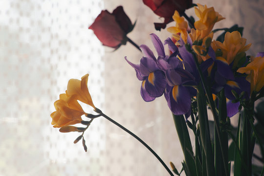 A composite bouquet of irises on the blurred background.