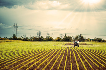 Fototapeta na wymiar Tractor working on the field in sunlight