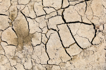 Dry and cracked soil