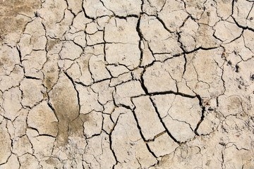 Cracked and dry soil