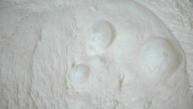 Yeast dough rises and bubbles