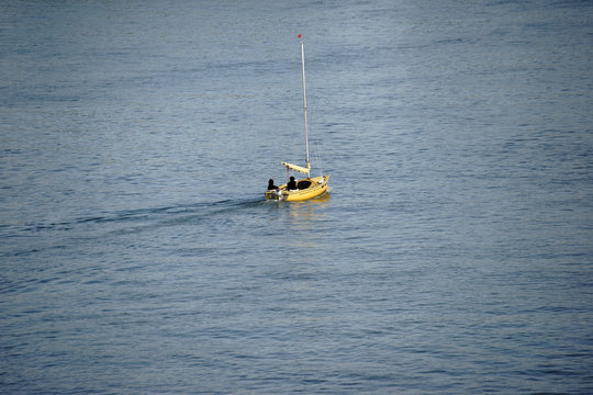 Segelsport / Ein gelbes Segelboot segelt bei schönem Wetter auf dem Rhein.