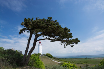 Leuchtturm Dornbusch auf Hiddensee © U. Gernhoefer