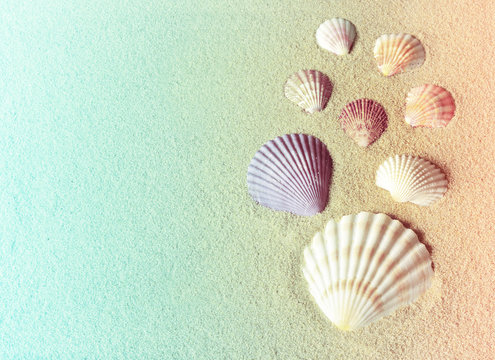 Sea shells an sand as background