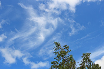 Obraz premium storm