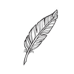 vector monochrome feather on a white background. Vector hand drawn tattoo feather