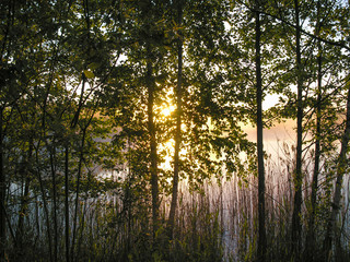 Рассвет на озере -первые лучи восходящего солнца...