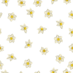Obraz premium Narcissus flowers. Seamless pattern of daffodils . Vector