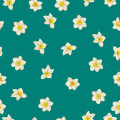 Narcissus flowers. Seamless pattern of daffodils . Vector