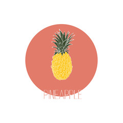 Hand drawn pineapple. Vector background