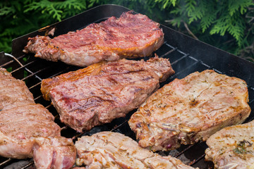 Leckere Sorten Fleisch auf dem Grill beim Grillabend mit Freunden