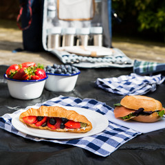 Picnic setting with different sandwiches and berries