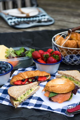 Picnic setting with different sandwiches and berries