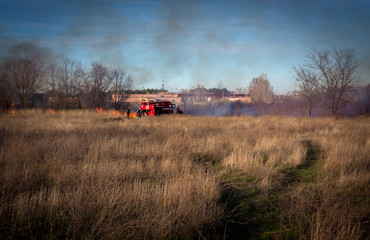 Obraz premium firefighters. wildfire.