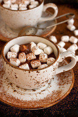 Homemade  hot chocolate with marshmallow