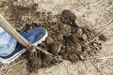 Forks in the ground