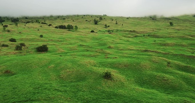 Aerial view flying over beautiful countryside, green grass rolling hills