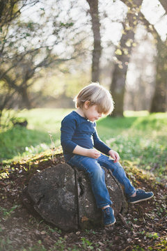 Young boy sitting on rock in woodland