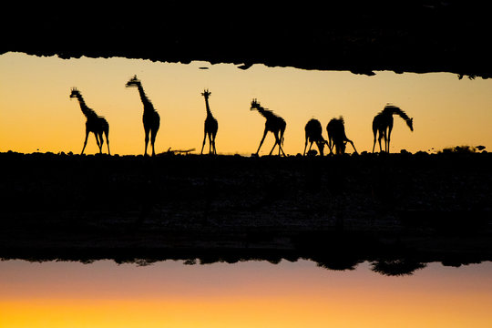 Mirage