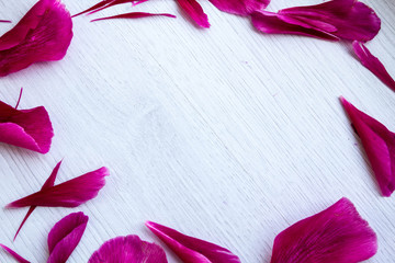 Beautiful pink peonies flowers with a blank notebook on a gray stone background, copy space for your text or design, top view, with a flat lay. Stylish mock branding for showing your work.