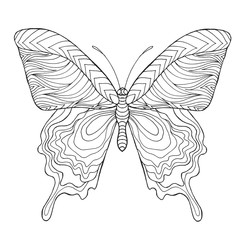 Zentangle stylized butterfly.