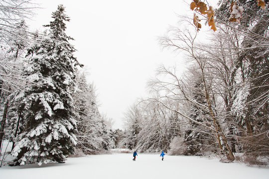 Boys playing on snowy landscape