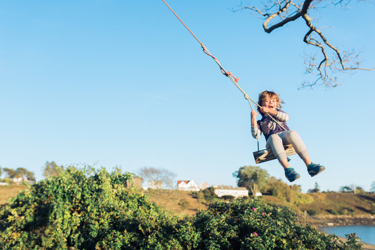 Young boy swinging on tree swing