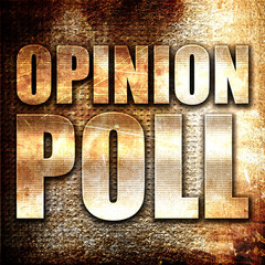 opinion poll, 3D rendering, metal text on rust background