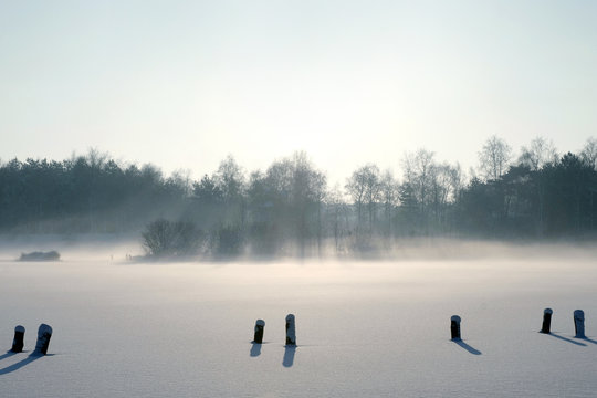 Wooden stumps sticking out fresh snow 