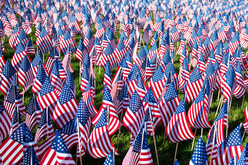 Field of American flags on display for Memorial Day or July 4th 
