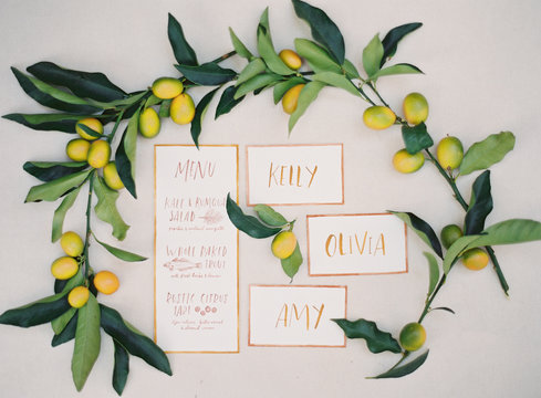 Citrus fruit on vine with name and menus 