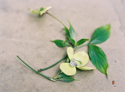 Wedding ring on green leaf 