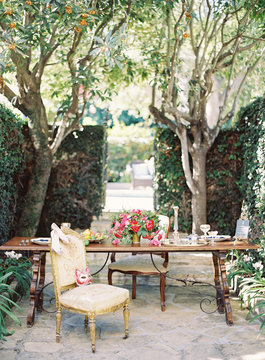 Table and chair in garden with trees and hedges