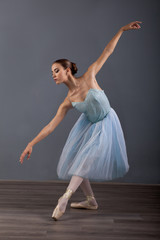 young ballerina in ballet pose classical dance © V&P Photo Studio
