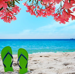 flip flops under pink flowers on the beach