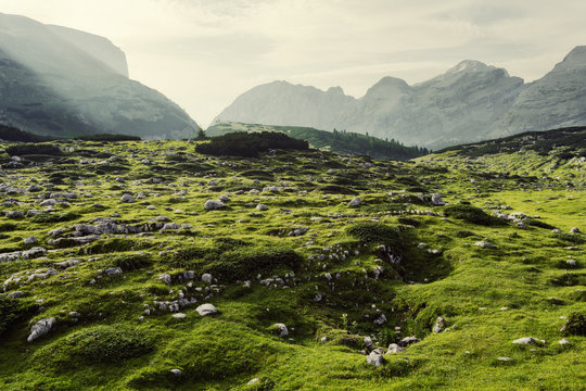 Fototapeta Green landscape in mountains