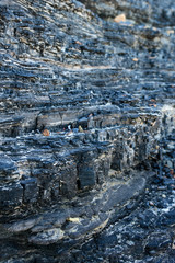 Detail of dark coal seam in cliff. Newcastle, New South Wales, Australia. 