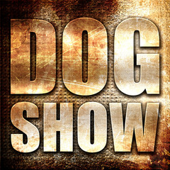 dog show, 3D rendering, metal text on rust background