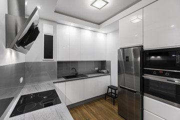 Kitchen in white