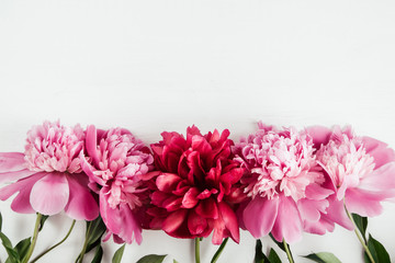 Summer floral background with pink and red peonies - obrazy, fototapety, plakaty