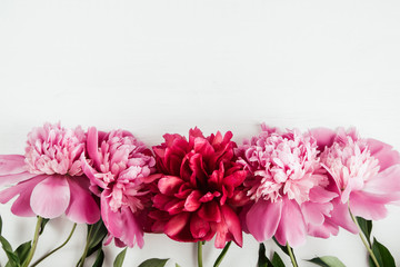 Summer floral background with pink and red peonies