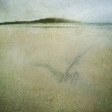 Scottish Beach