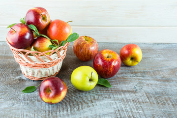 Fresh apples in the basket