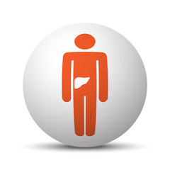 Orange Liver icon on white ball