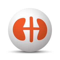Fototapeta premium Orange Kidneys icon on white ball