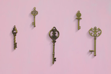 Group of Brass Antique Skeleton Keys on Pink Background
