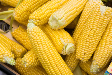 Corn cobs
