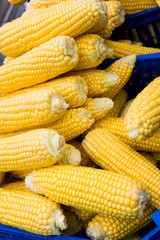 Corn cobs
