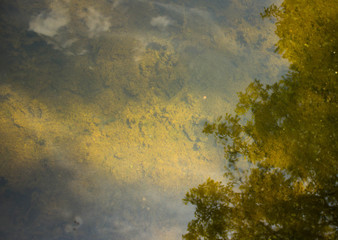Fototapeta na wymiar Trees and clouds reflected on the lake