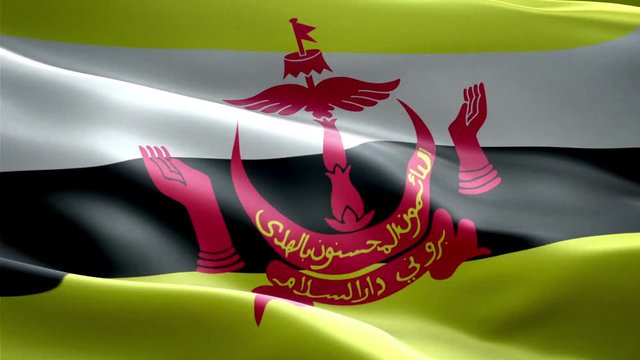 Brunei national flag. Infinite loop. New effect and different lightining.